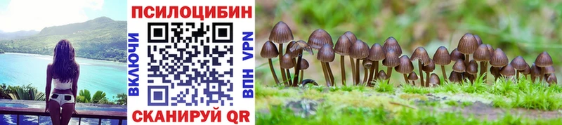 кракен сайт  Липки  Псилоцибиновые грибы Psilocybe 